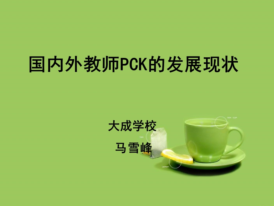 教师学科知识PCK发展现状.ppt_第1页