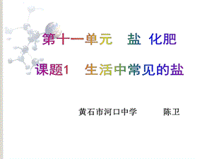 九年级化学生活中常见的盐.ppt