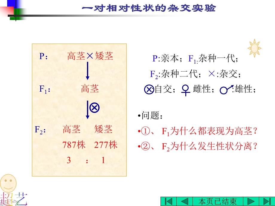 八年级下册生物PPT课件.ppt_第2页