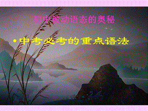 初中被动语态的奥秘.ppt