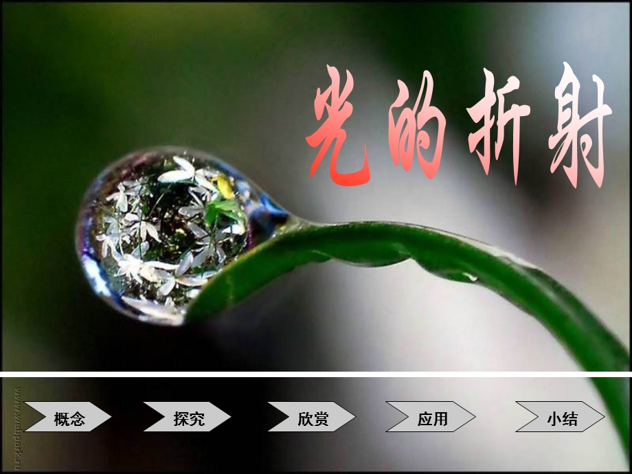 光的折射（稿）(1).ppt_第2页