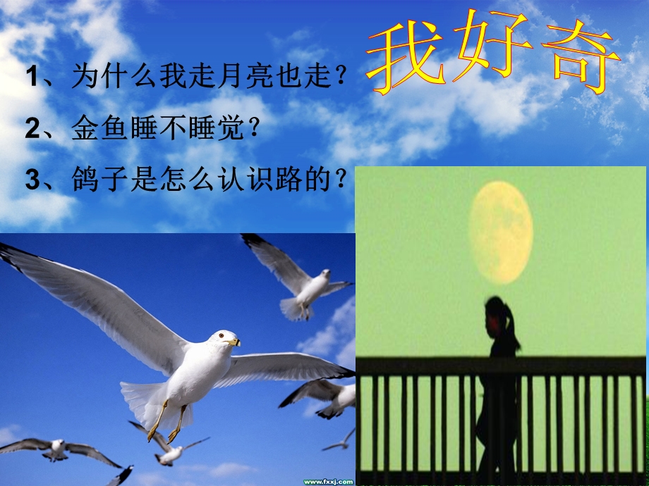 尽可能多的提出问题.ppt_第2页