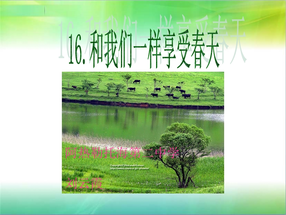 和我们一样享受春天绿.ppt_第2页