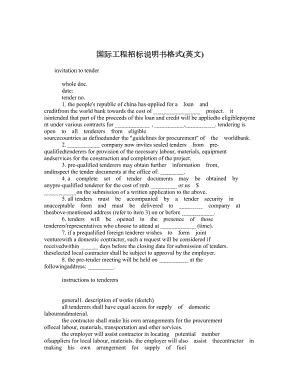 国际工程招标说明书格式(英文).doc