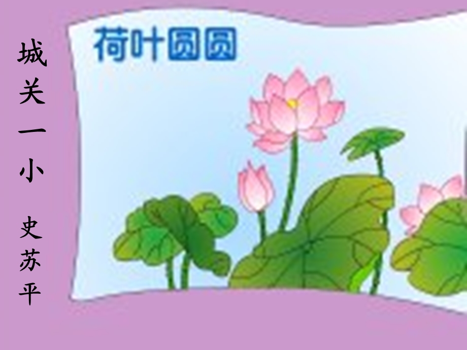 荷叶圆圆 (2).ppt_第1页