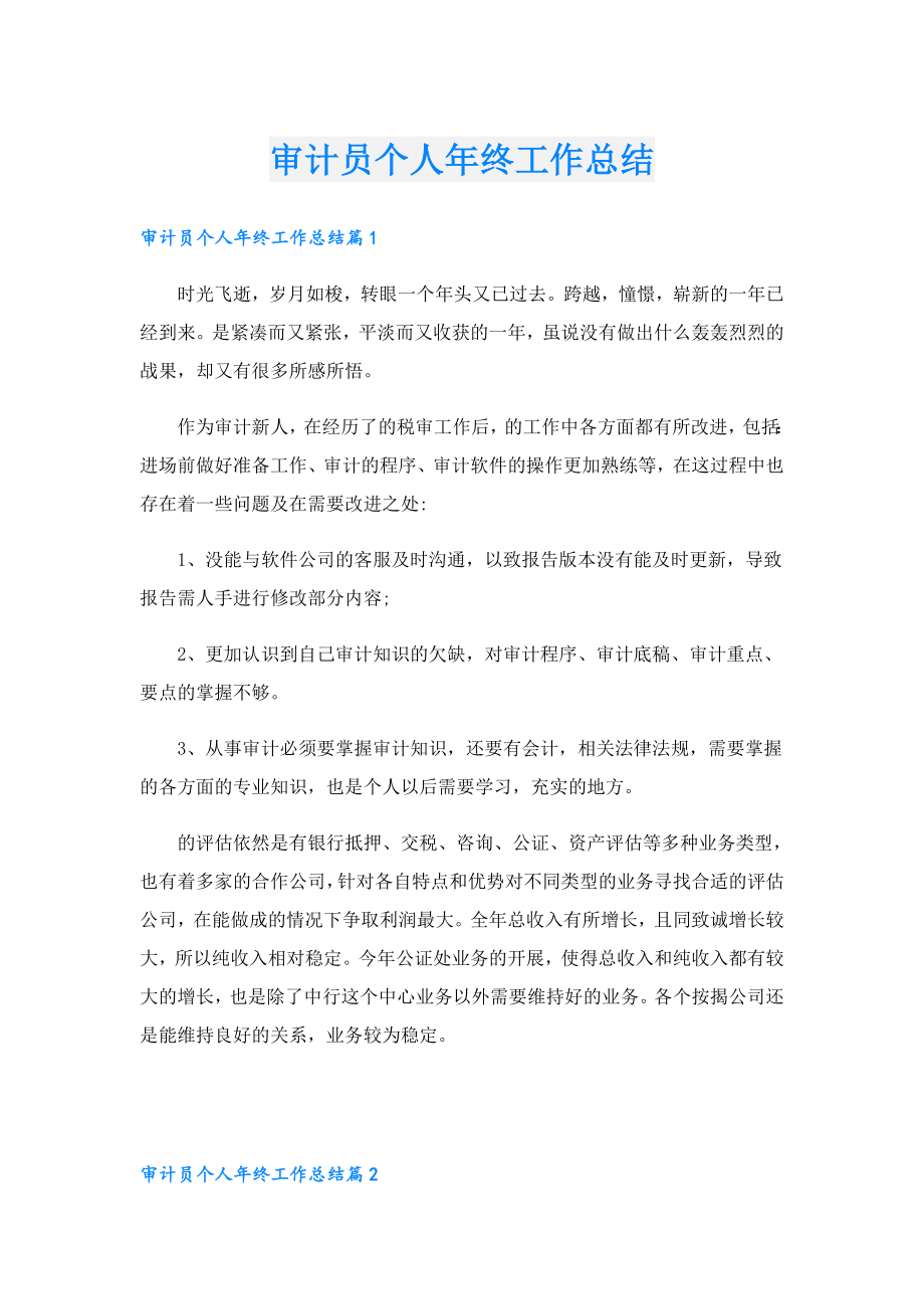 审计员个人终工作总结.doc_第1页