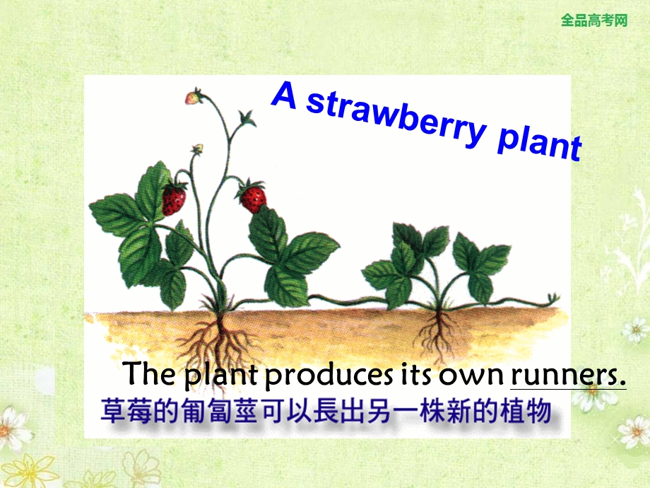 【精品课件】Unit2CloningPeriod1.ppt_第3页