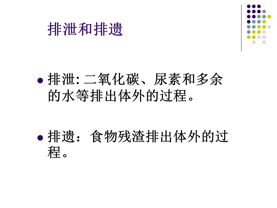 尿的形成和排出 (2).ppt_第3页