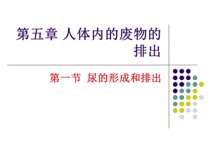 尿的形成和排出 (2).ppt