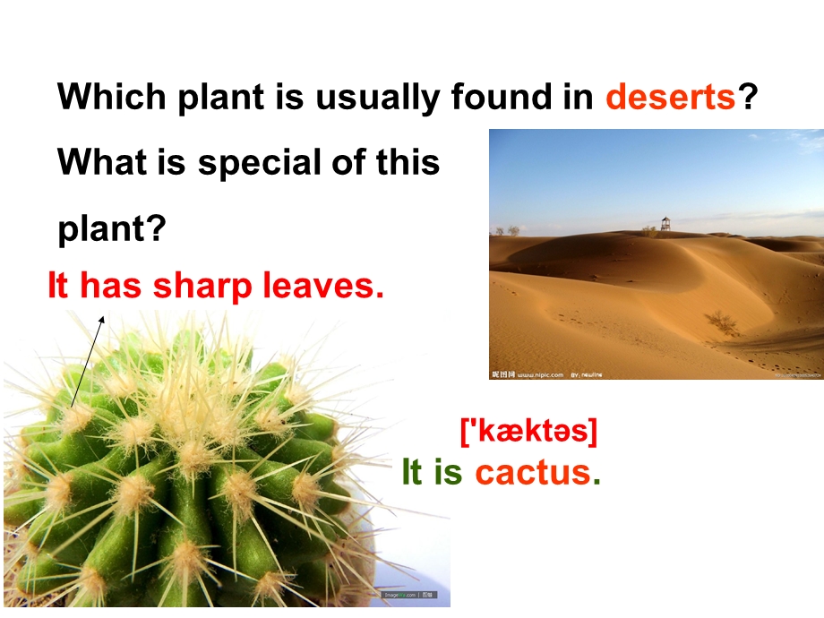 Topic4Nature身m.ppt_第3页