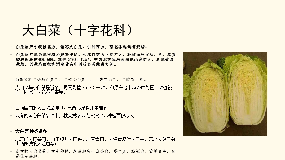 白菜常见病虫害防治.pptx_第3页