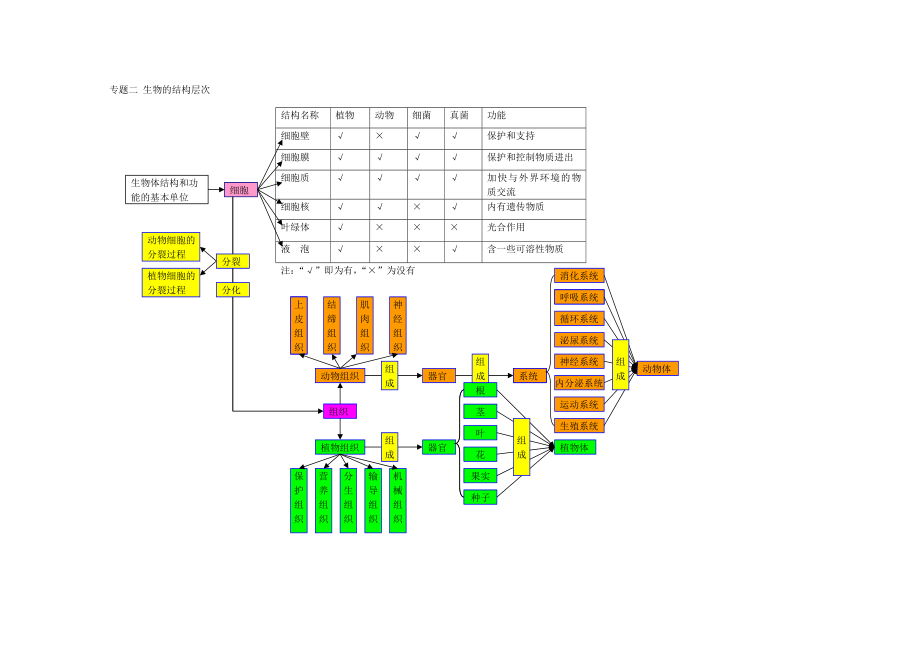 初中生物思维导图大全精编版.docx_第2页