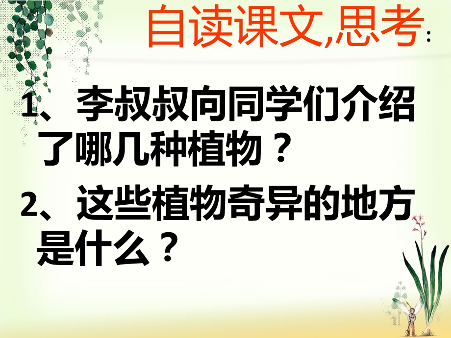 -奇异的植物世界个性化.ppt_第2页