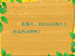 二下语文《恐龙的灭绝》.ppt