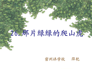 那片绿绿的爬山虎 (6).ppt