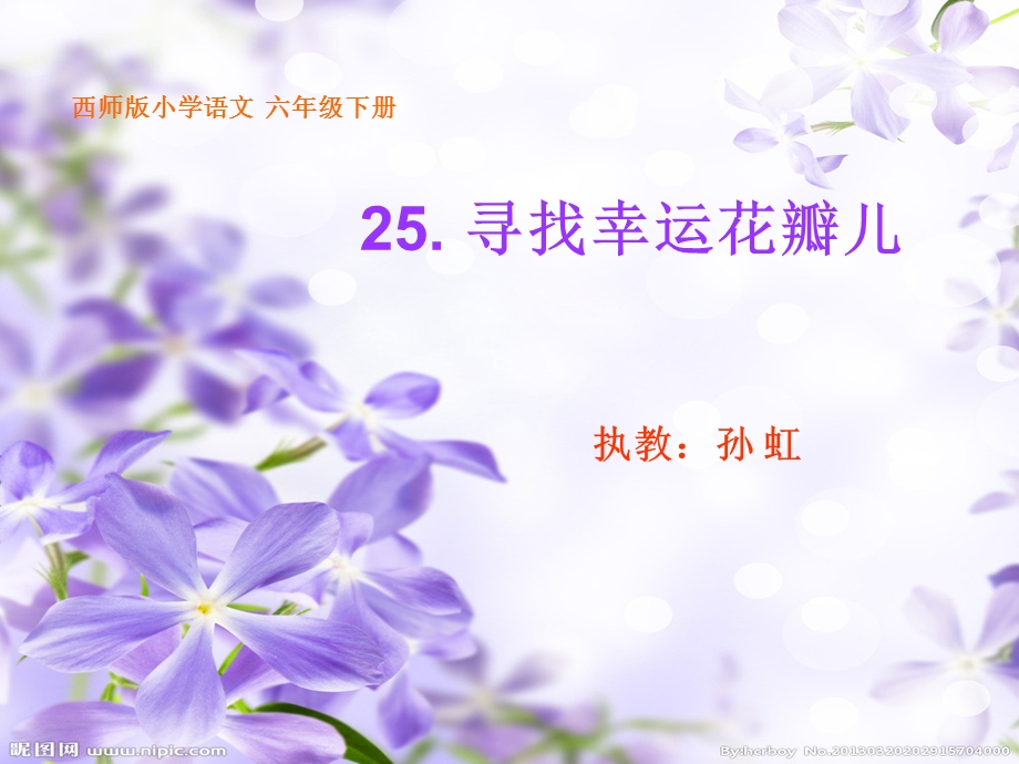 课件：寻找幸运花瓣1孙虹.ppt_第1页