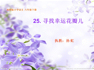 课件：寻找幸运花瓣1孙虹.ppt