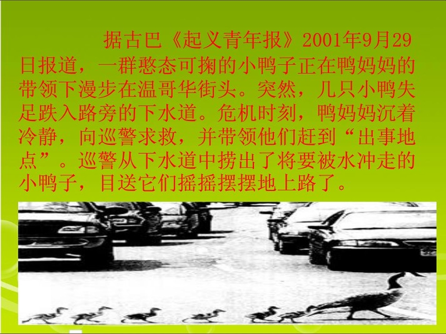 六年级上册第七单元习作.ppt_第3页