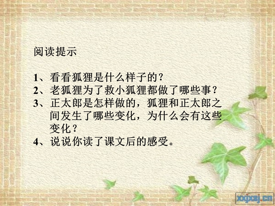 金色的脚印教学课件[精选文档].ppt_第2页