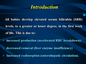 新生儿黄疸英文文档资料.ppt