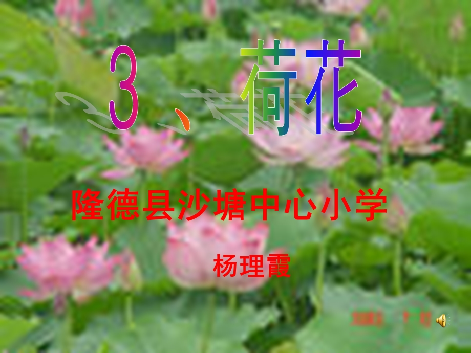 《荷花》课件【7页】.ppt_第1页