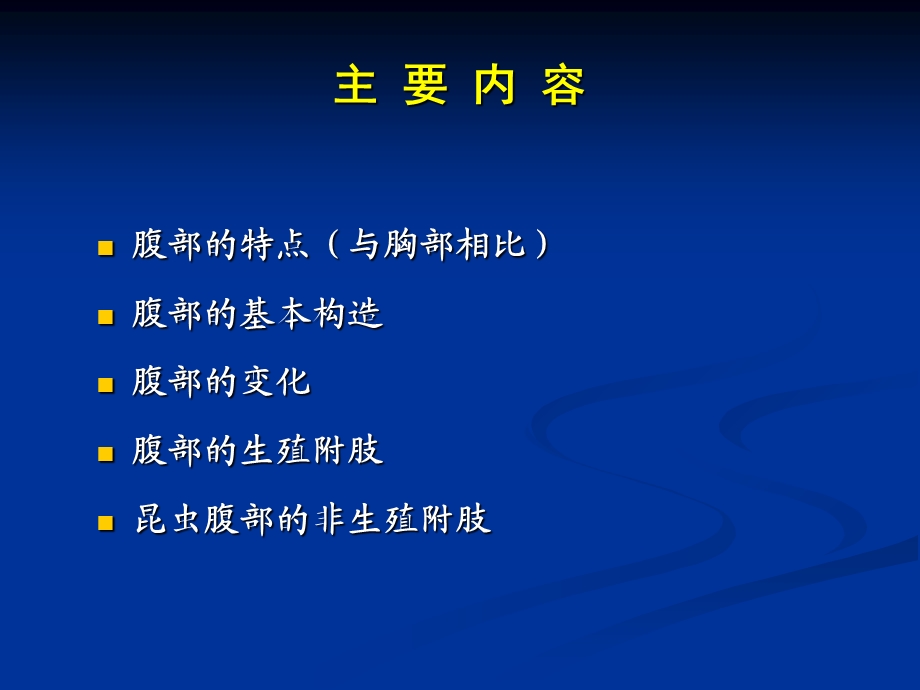 昆虫的腹部文档资料.ppt_第1页