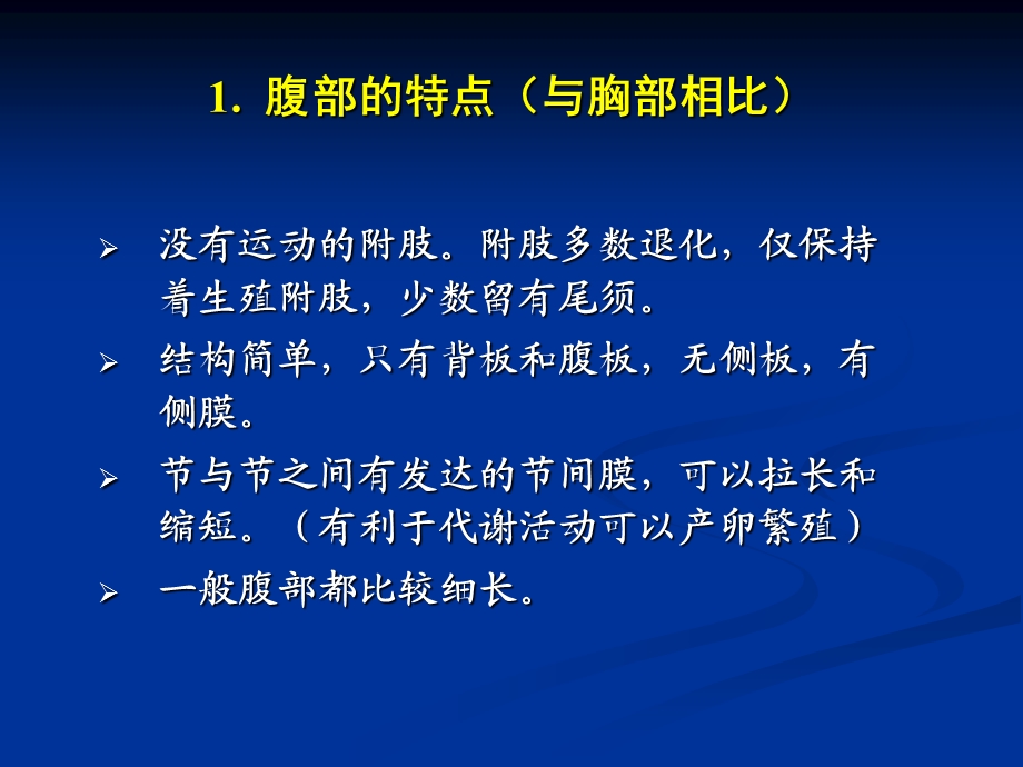 昆虫的腹部文档资料.ppt_第2页