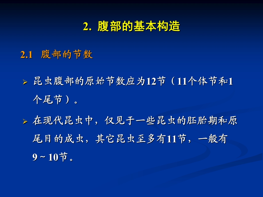 昆虫的腹部文档资料.ppt_第3页