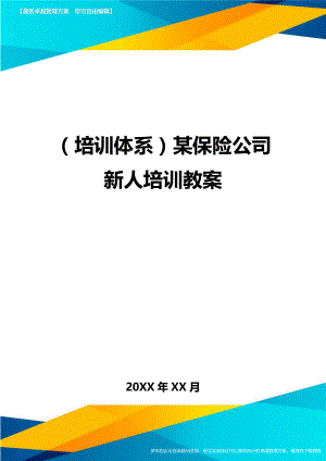 培训体系某保险公司新人培训教案.doc