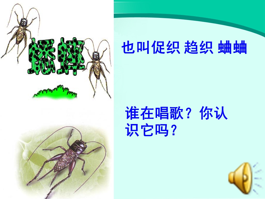 RJYW040107蟋蟀的住宅.ppt_第1页