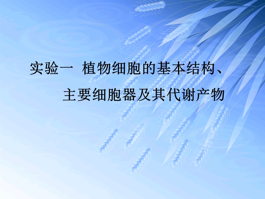 实验一植物细胞的基本结构主要细胞器及其代谢产物文档资料.ppt_第1页