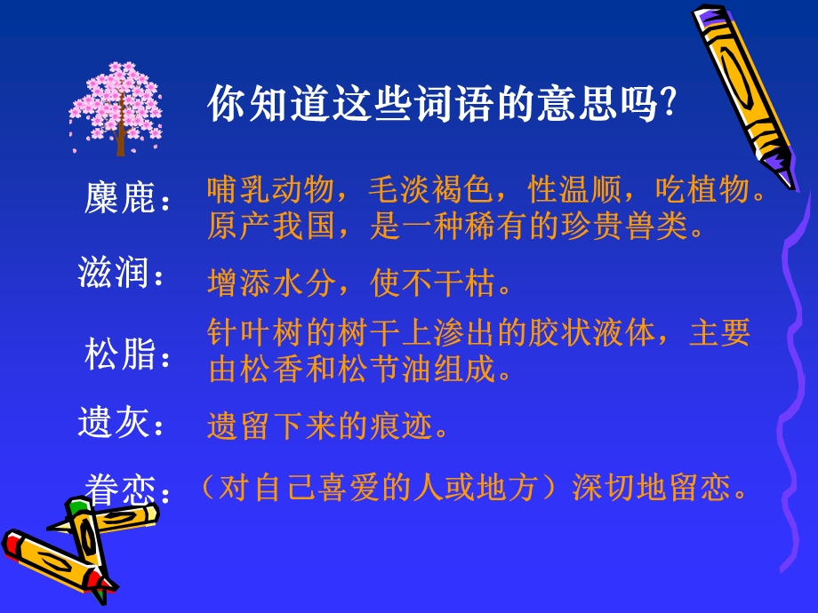 这片土地是神圣的ppt课件1[精选文档].ppt_第3页