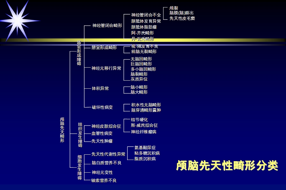 中枢神经系统畸形或发育异常ppt课件PPT文档.ppt_第2页