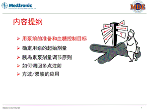 胰岛素泵剂量调整文档资料.ppt