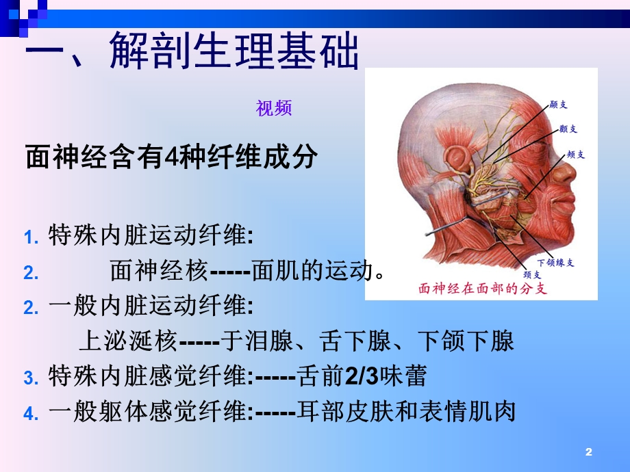 面神经析课件文档资料.ppt_第2页