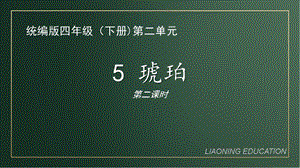 四年级语文下册课件《琥珀》第二课时PPT课件部编版.pptx