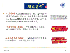 吡格列酮对糖尿病兔心房重构的影响和机制研究文档资料.ppt