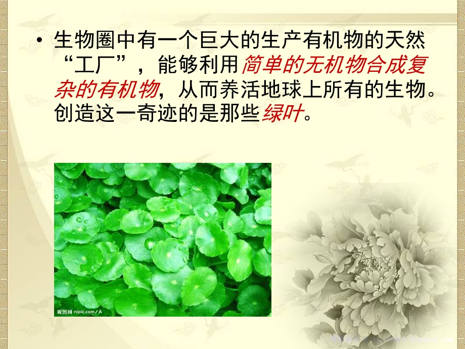 人教版生物七年级上册3.4绿色植物是生物圈中有机物的制造者课件(共19张PPT).ppt_第3页