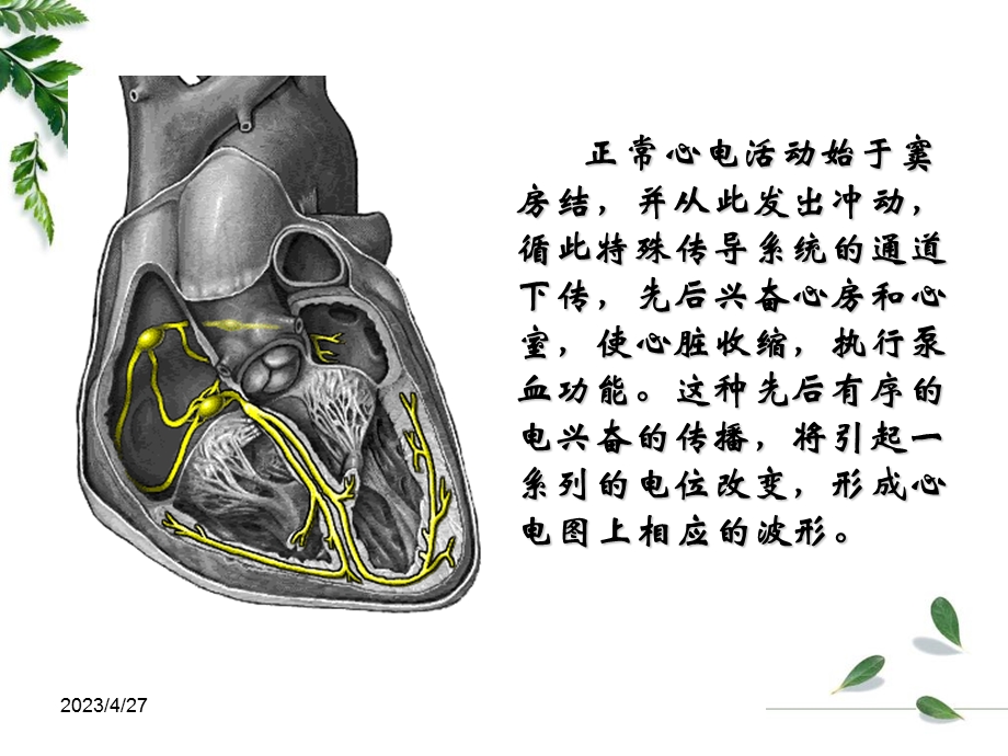 专科护士讲课心电图基础文档资料.ppt_第2页