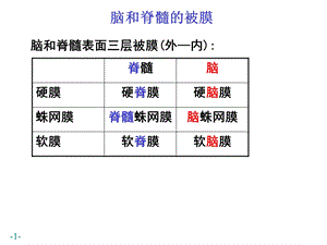 脑和脊髓的被膜、血管及脑脊液循环文档资料.ppt