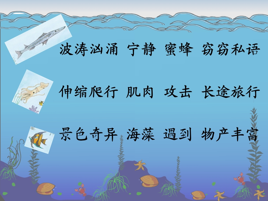 《海底世界》课件 (2).ppt_第2页