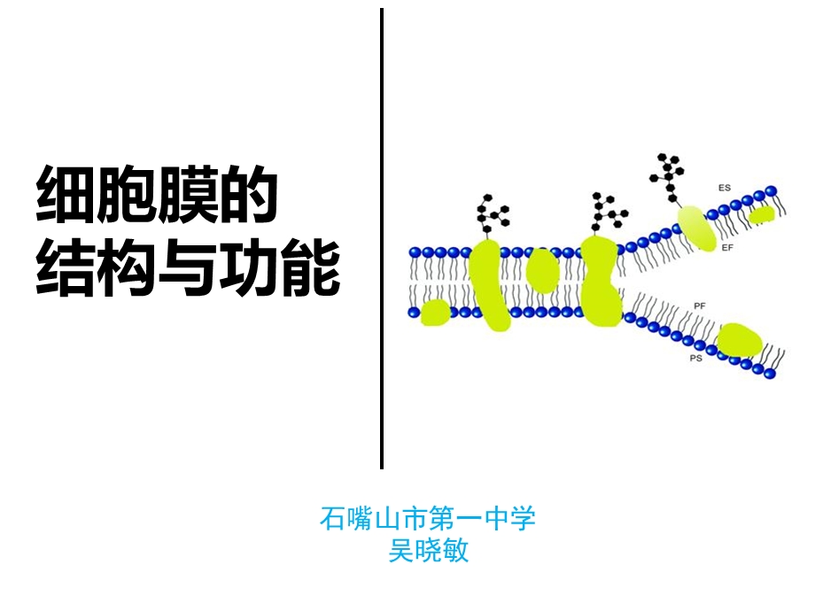 中图版高中生物必修一3.1.1 第一节细胞膜的结构与功能课件(共22张PPT).ppt_第1页