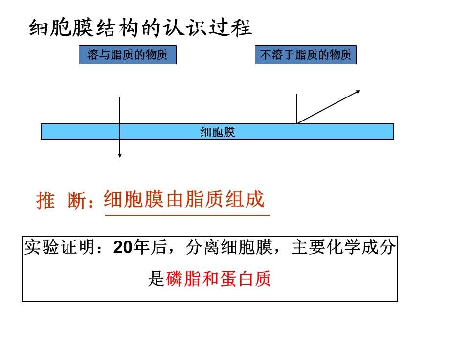 中图版高中生物必修一3.1.1 第一节细胞膜的结构与功能课件(共22张PPT).ppt_第3页