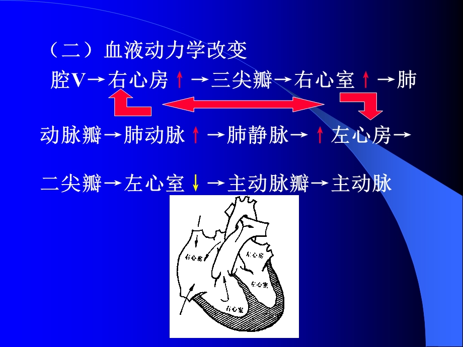 先天性心脏病x诊断精选文档.ppt_第2页