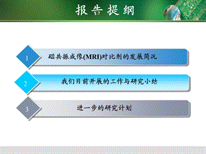 临床安全高效磁共振成像对比剂的研发精选文档.ppt