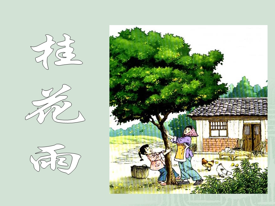 7桂花雨 .ppt_第2页