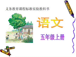 7桂花雨 .ppt