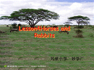 三年级英语下册Lesson4HorsesandRabbits课件(新版)冀教版[精选文档].ppt