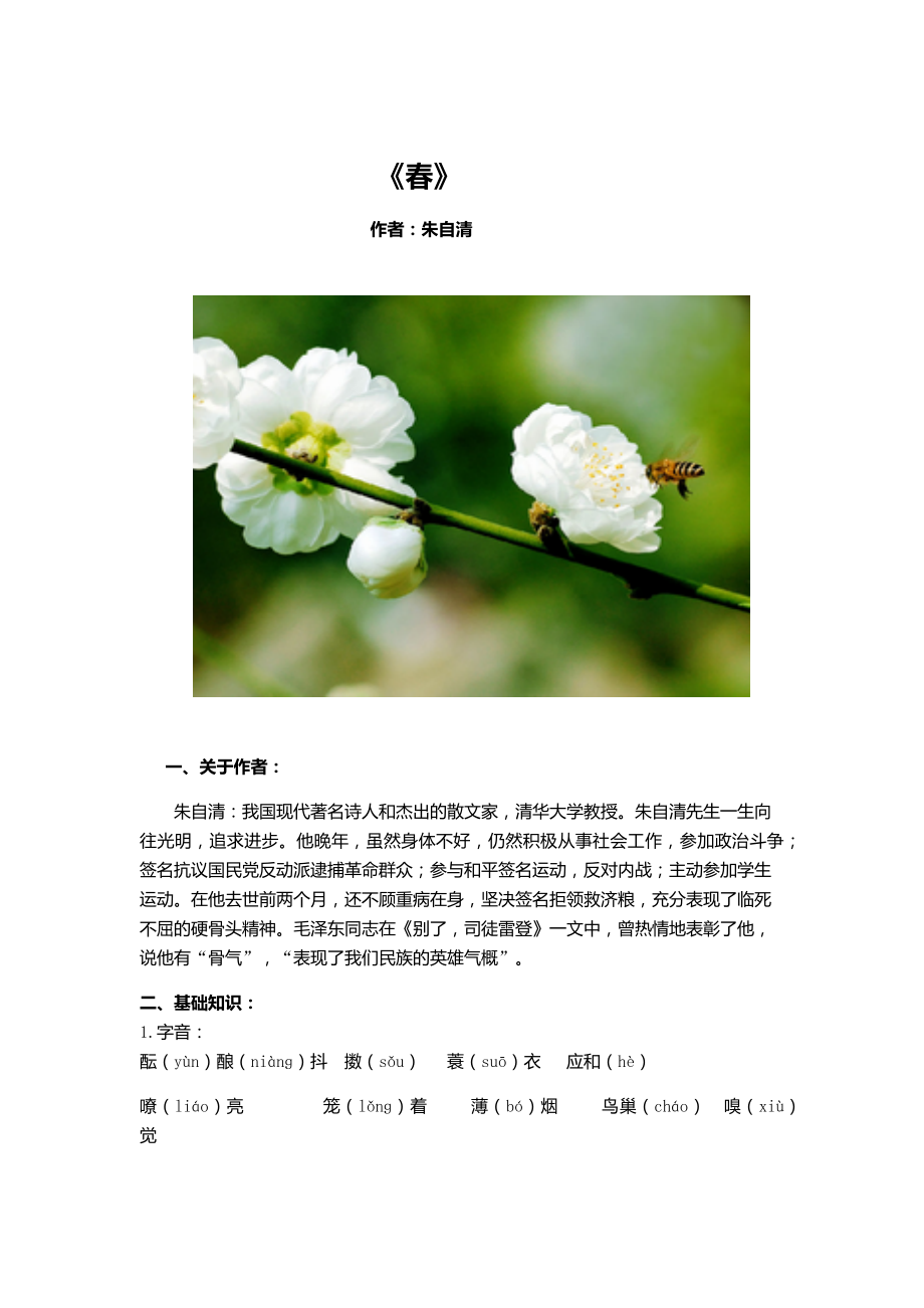 初中一年级《春》教案（排则莱提）.docx_第2页