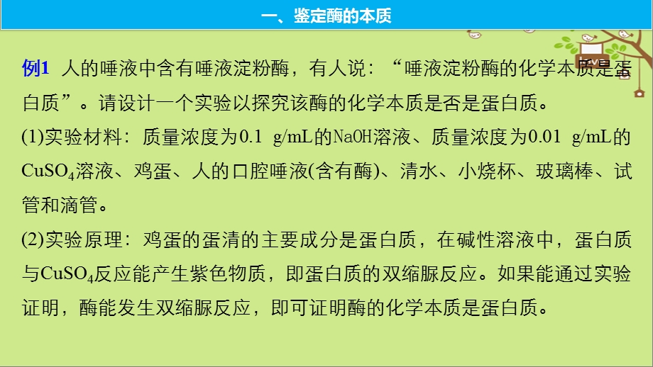 高考生物大一轮复习热点题型一酶的相关实验课件3107 (共68张PPT).ppt_第2页